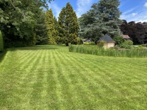 20240614_121639735_iOS